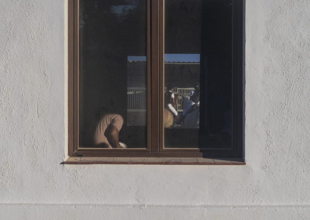 TARIFA_window